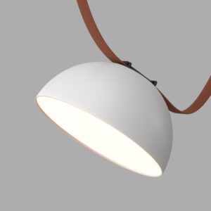 DK5660-WH+BK Cветильник для трека-ремня Belty Smart, серия Flow, со светодиодом, D220*H117мм, 48V DC, 24W, RA90, 120°, 3000-5700K, IP20, белый с черным, алюминий